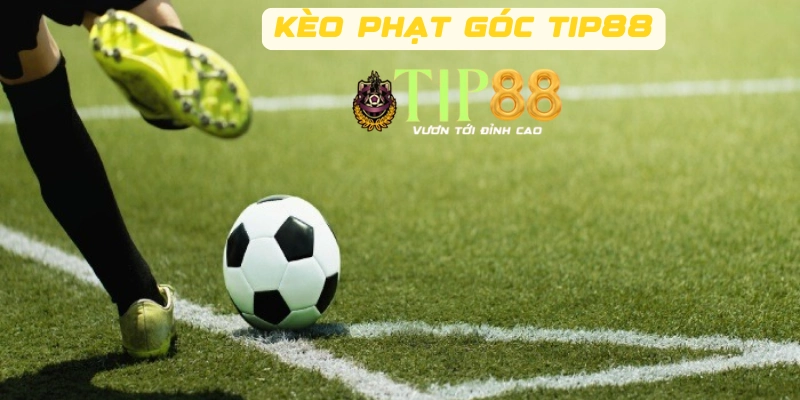 Kèo phạt góc TIP88 là gì?